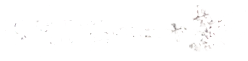 株式会社 鷲見化粧ベニヤ